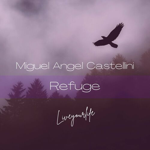 Miguel Angel Castellini - Refuge [LVYRLF035]